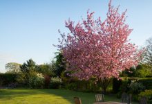 tuinmeubels